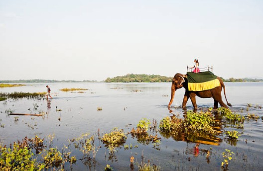 voyage-solidaire-srilanka