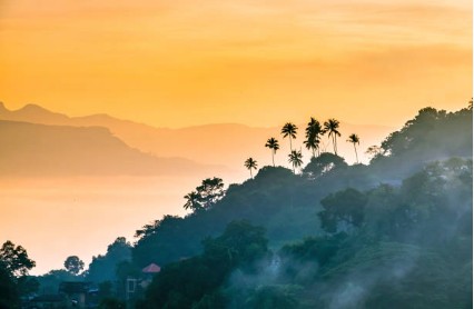 Voyager solidaire au Sri Lanka