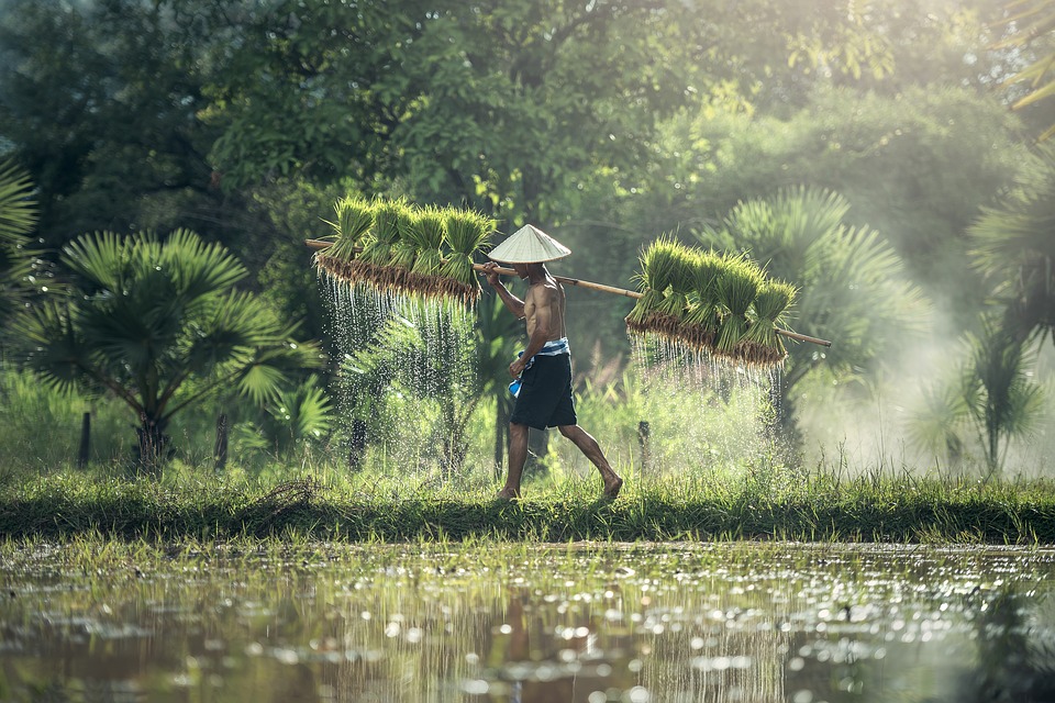 Voyage en Malaisie : 4 suggestions d’activités