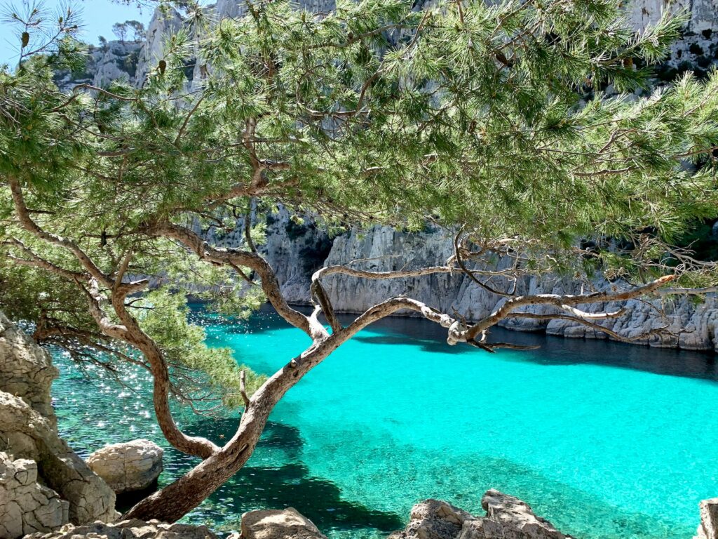 calanques marseille