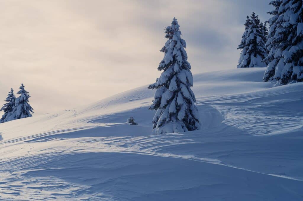 monts jura ski